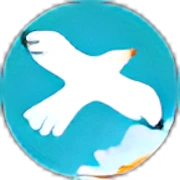 Calificacion de usuario1