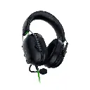 F13.webp