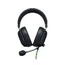 F14.webp