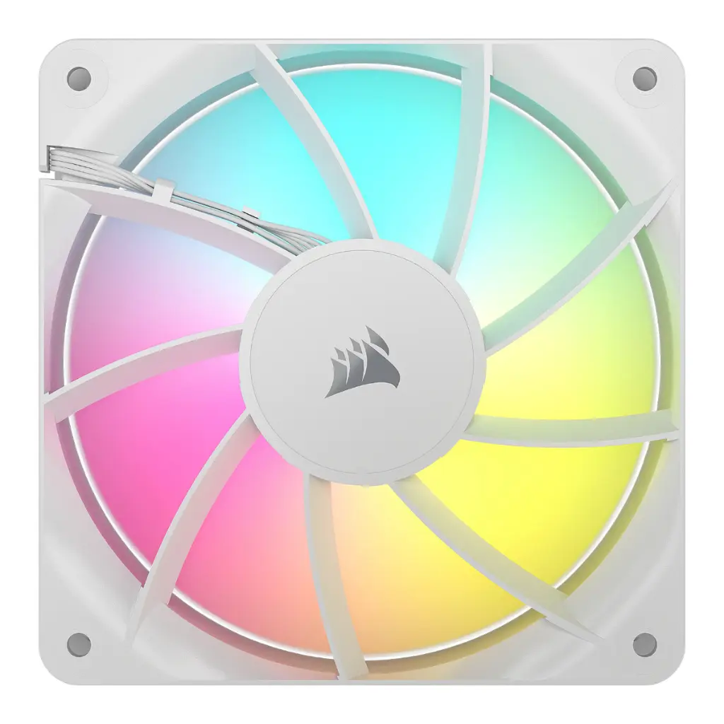 X4.webp