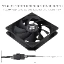 A11.webp