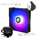A17.webp